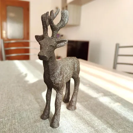 Apartmán Sohe - In Centro *